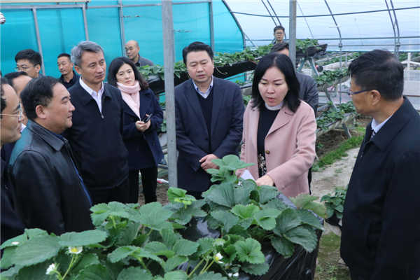 “質(zhì)量興農(nóng)萬里行”陜西站活動花落安康、走進漢濱、風起陽晨