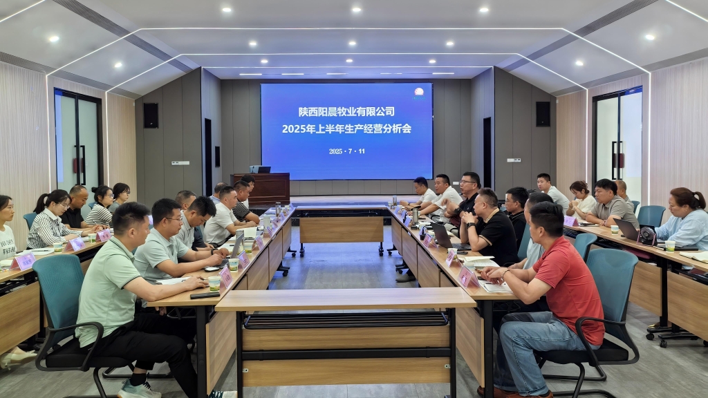 陽晨牧業(yè)召開2025年度上半年總結(jié)分析會(huì)